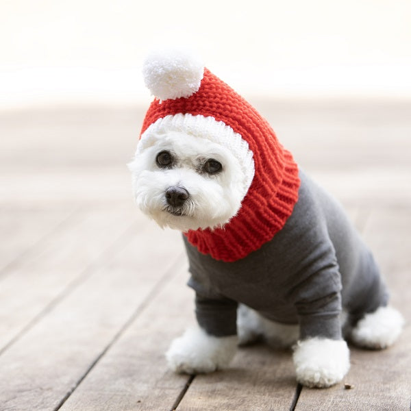 犬のクリスマスニット帽Ⅱ（手編み）