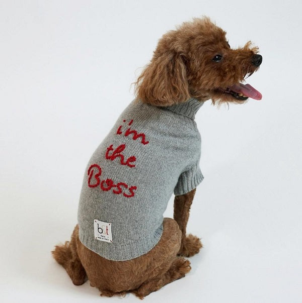 リサイクルカシミア・ドッグセーター（手刺繍オーダー）｜犬とおそろい