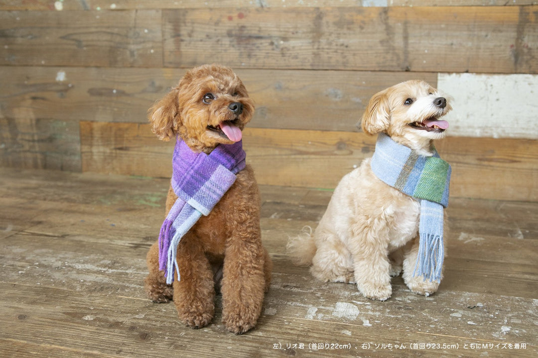 チェック柄のお揃いマフラー（犬用）｜ドッグアパレルの INUTO（イヌト）