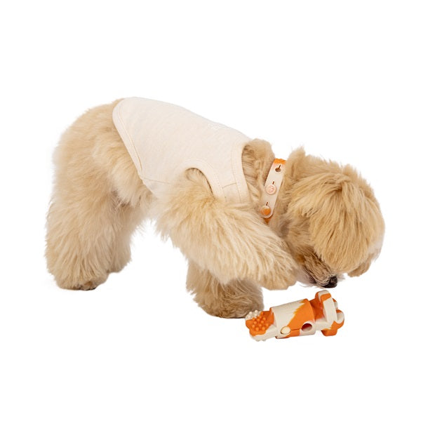 インポート　犬用おもちゃ　犬用トイ 犬のおもちゃ（トレーニングシリコーンボーントイ）｜INUTO（イヌト）