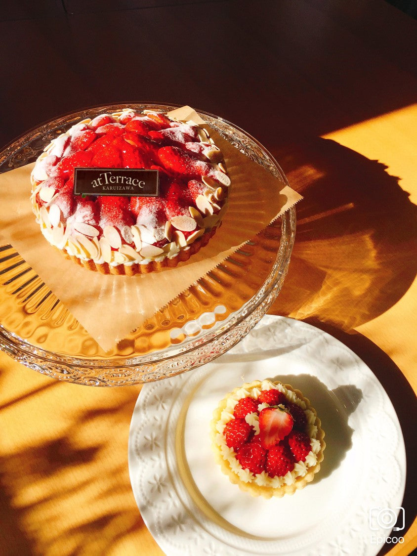 いちごのタルトケーキセット（犬用＋人用）｜ドッグアパレルのINUTO