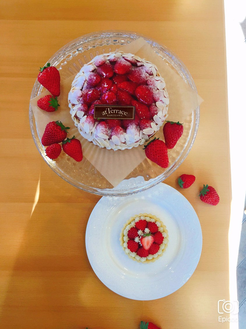 いちごのタルトケーキセット（犬用＋人用）｜ドッグアパレルのINUTO