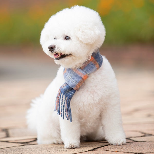 犬のチェック柄マフラー｜ドッグアパレルの INUTO（イヌト） 