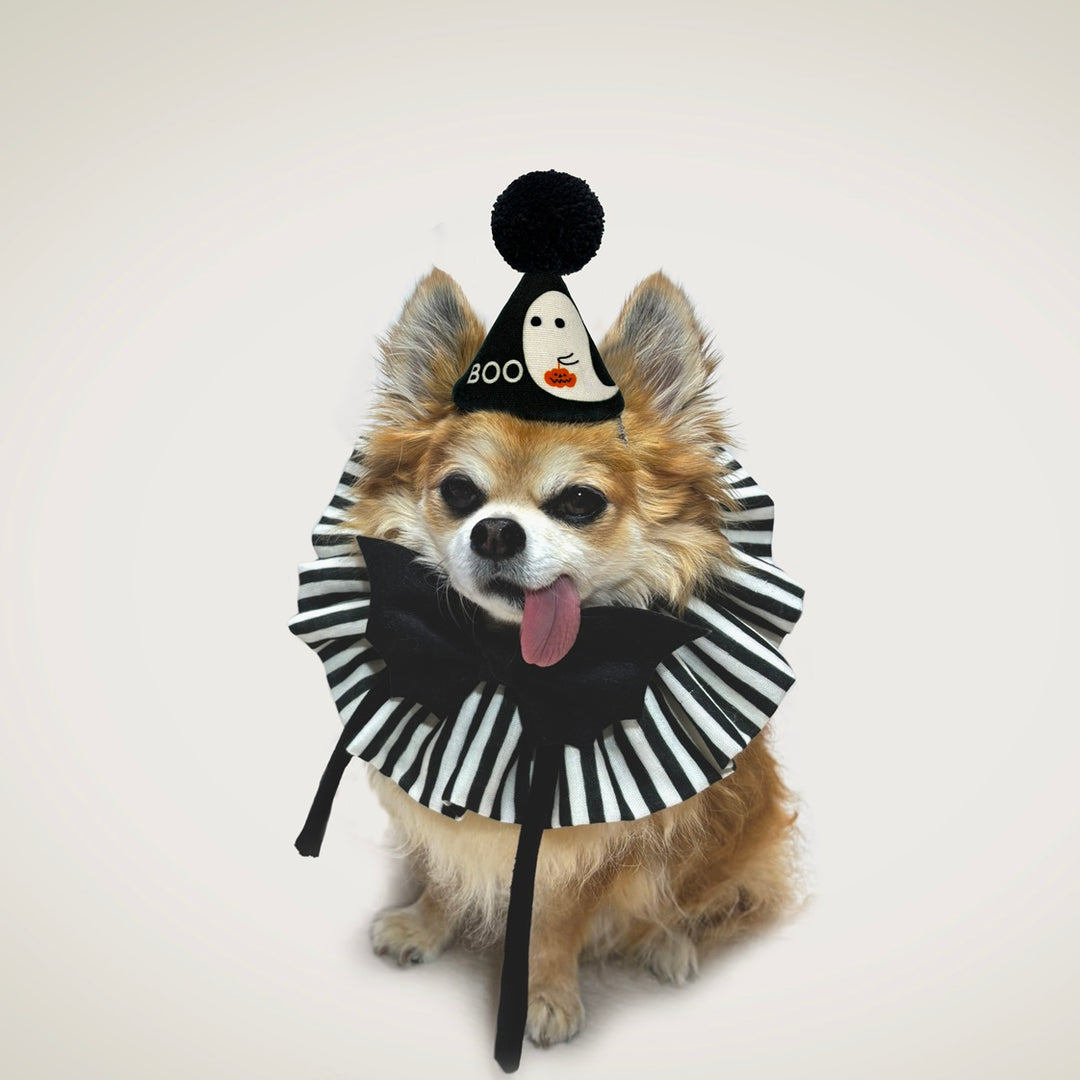 数量限定】コウモリのボウタイ「BAT BOW TIE」｜ドッグアパレルのINUTO