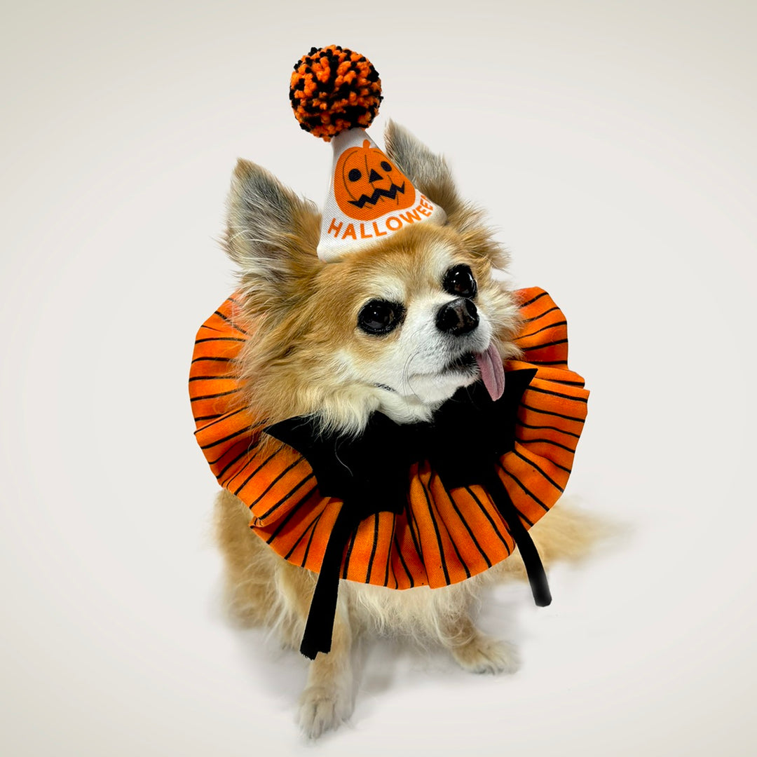 数量限定】コウモリのボウタイ「BAT BOW TIE」｜ドッグアパレルのINUTO