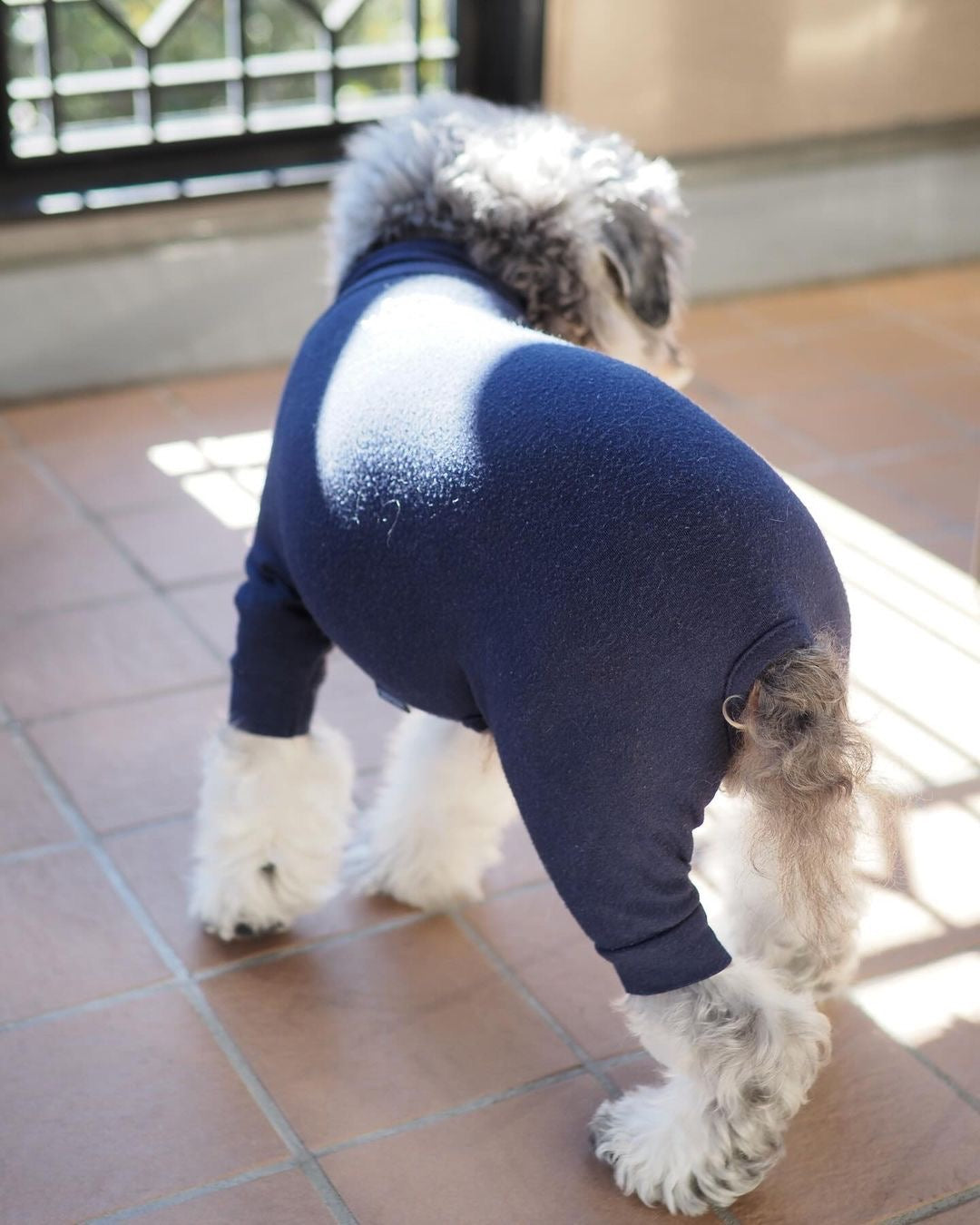 犬服（5点） 犬用インナーウェア（スキンタイトスーツ）｜INUTO（イヌト）