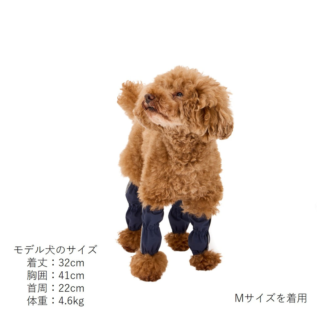 M_9011d5e6-50c8-4792-b5aa-
