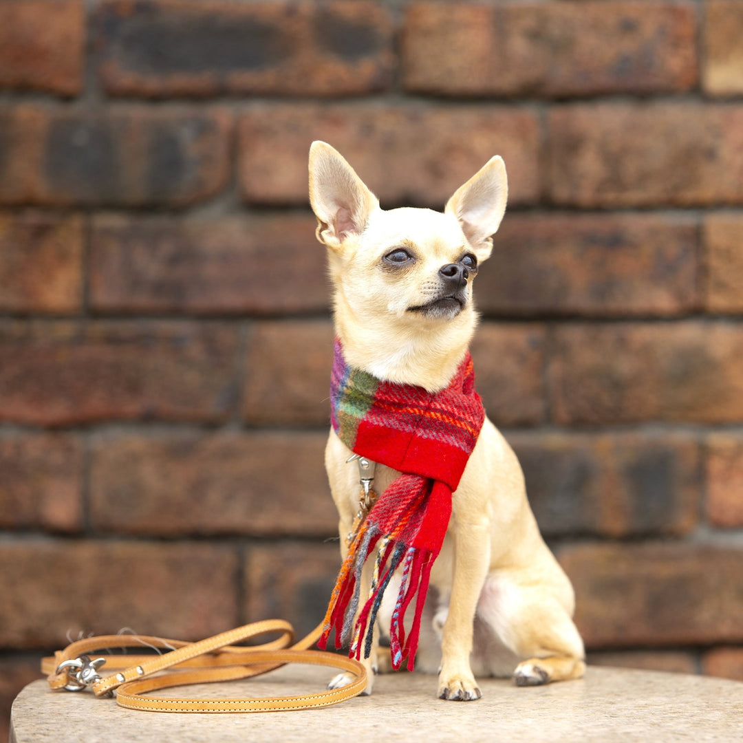 O6A3405_-2_97451d38-270b-48f8-