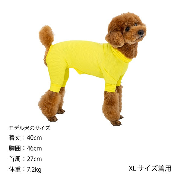 いぬさん専用 いぬいぬさん専用 いぬいぬさん専用 犬犬 (@inu_inu) / X