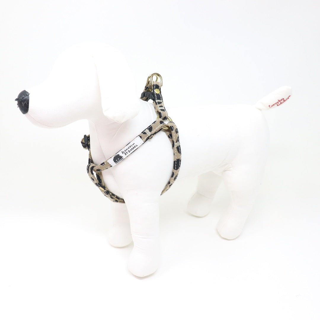 BLENHEIM バブル柄のカラー｜ドッグアパレルの INUTO – INUTO（イヌト）