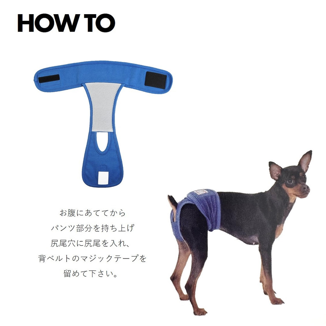 マナーパンツ｜ドッグアパレルのINUTO（イヌト）