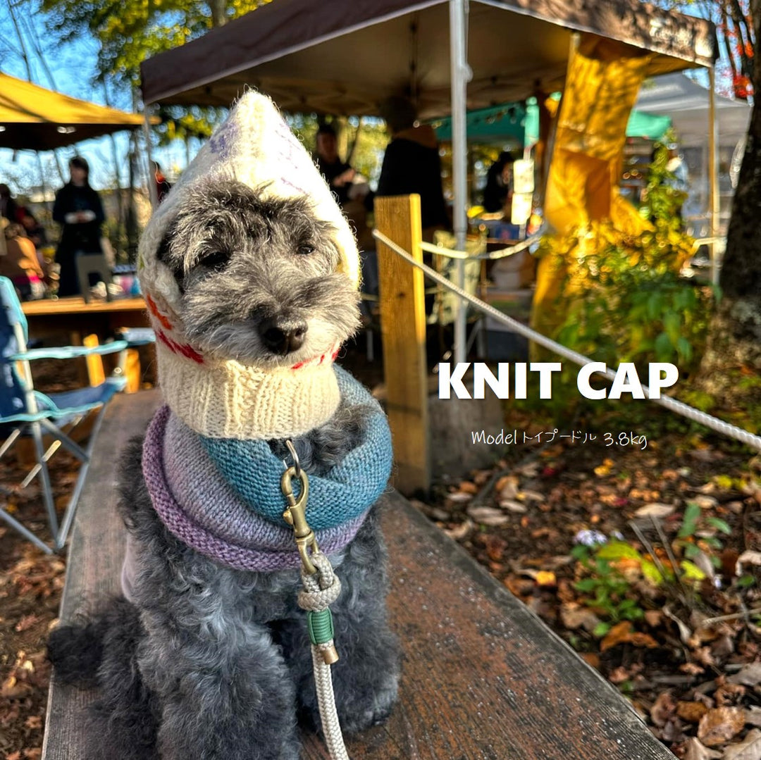 only wan うちの子ネーム入り手編みのニット帽（受注生産）｜ドッグ