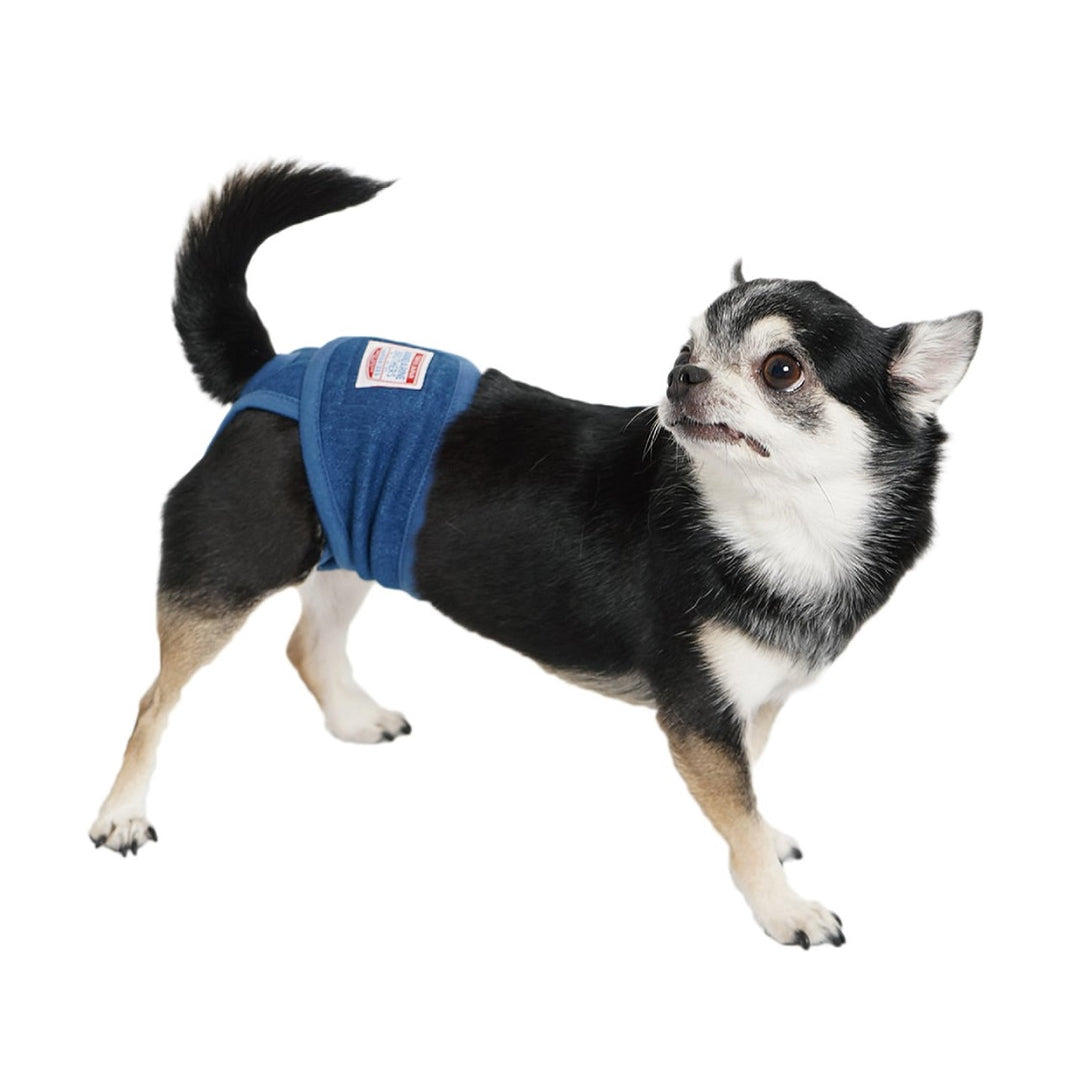 ぱん様 リクエスト 4点 まとめ商品 マナーパンツ マナーパンツ｜ドッグアパレルのINUTO（イヌト）