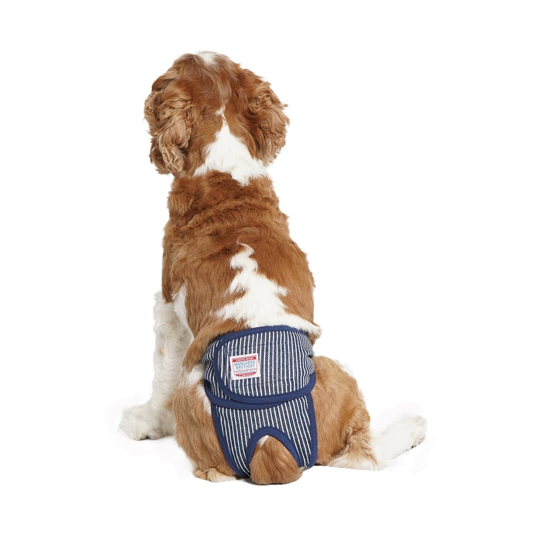 ぱん様 リクエスト 4点 まとめ商品 マナーパンツ マナーパンツ｜ドッグアパレルのINUTO（イヌト）