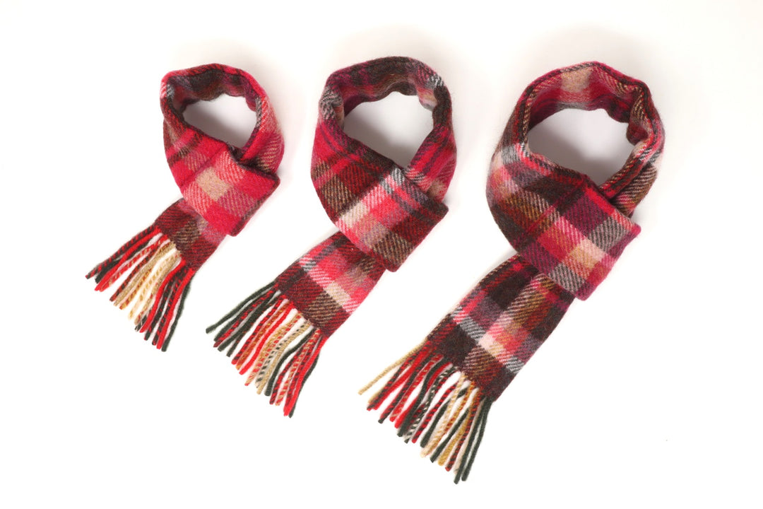 motto_dog 01 / CORDURA モットドッグ + 冬の装いマフラー motto_dog 01 / CORDURA モットドッグ + 冬の装いマフラー