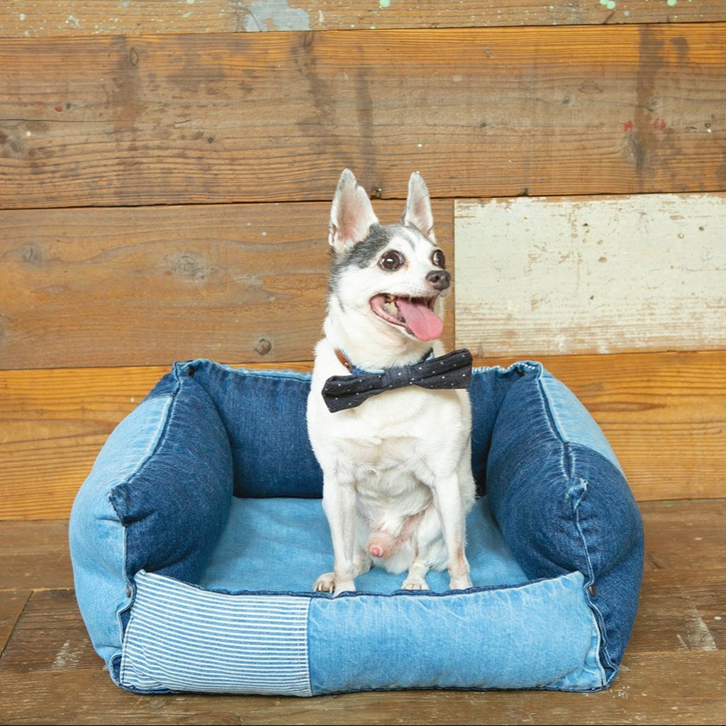 01__main_bd4c5721-b3e5-4897-