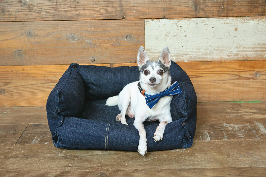 02__main_eecf17eb-2baa-4b7e-