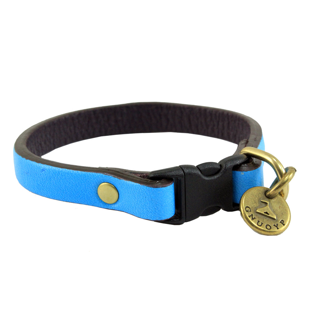 GNUOYP Color x Color（バングル）｜ドッグアパレルの INUTO – INUTO