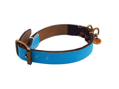 GNUOYP Color x Collar（中型犬・大型犬）｜ドッグアパレルの INUTO