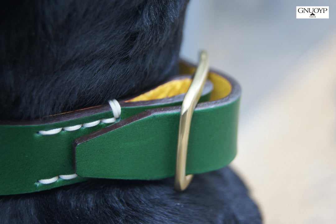 GNUOYP Color x Collar（中型犬・大型犬）｜ドッグアパレルの