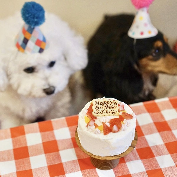 犬服 S わんこの普段着　いちごケーキ 犬服 3S わんこの普段着いちごケーキ