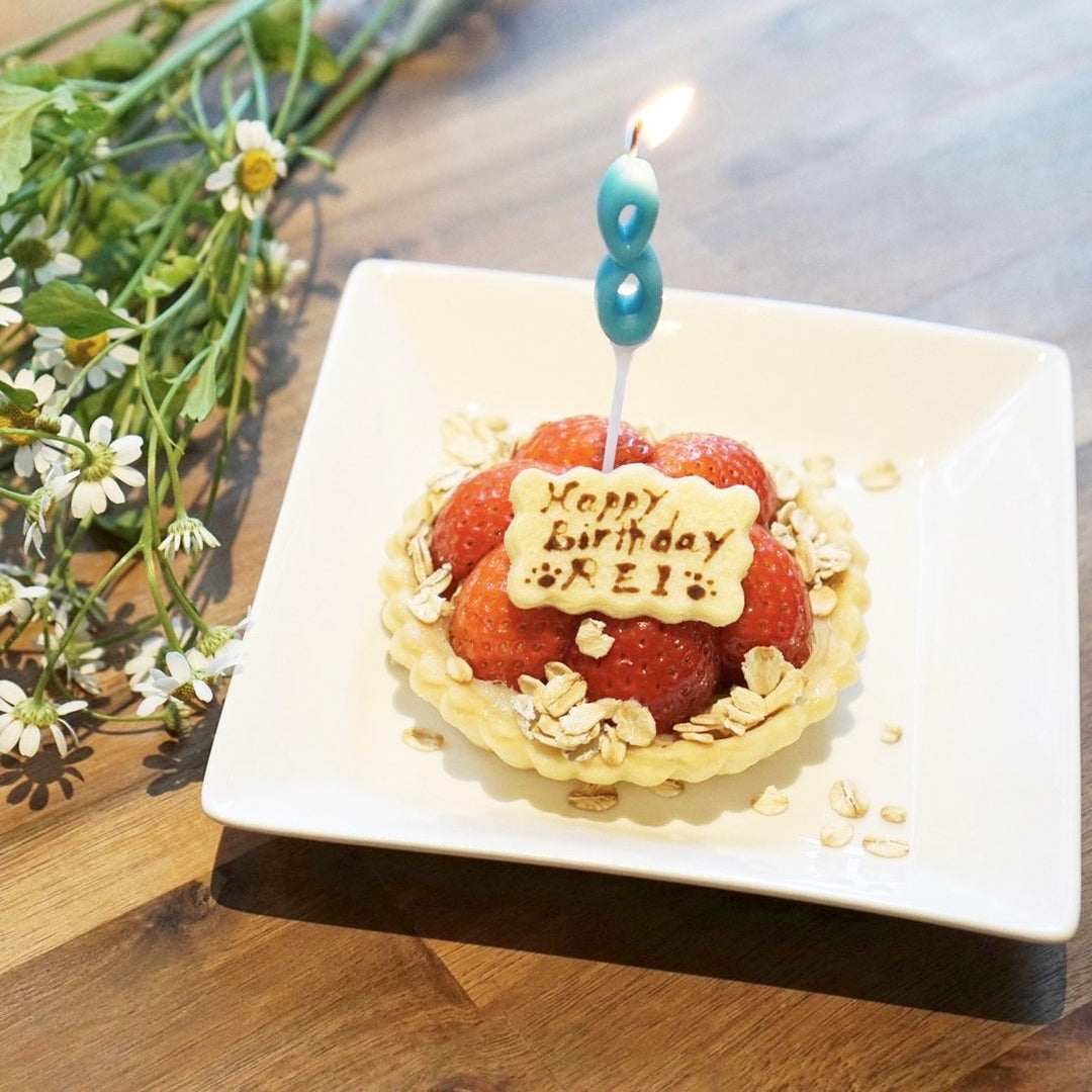 IMG_0410-1_3_1080x.jpg?v=