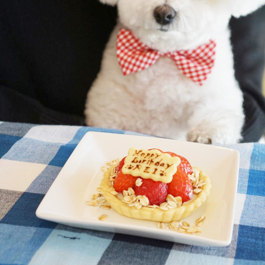いちごのタルトケーキ（犬用）｜ドッグアパレルのINUTO（イヌト）