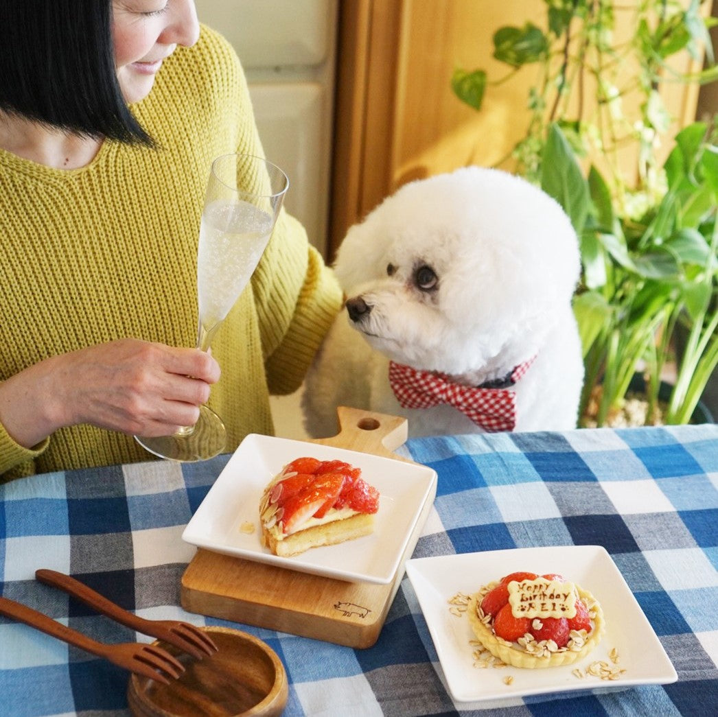 いちごのタルトケーキセット（犬用＋人用）｜ドッグアパレルのINUTO