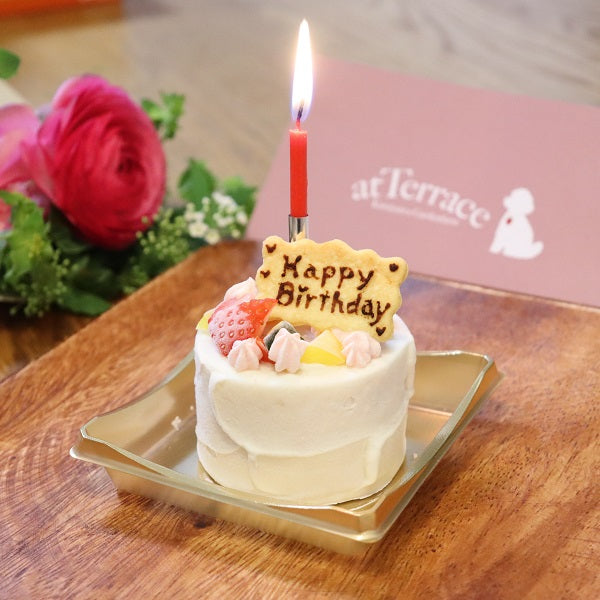 いちごのショートケーキ（犬用）冷凍｜ドッグアパレルのINUTO