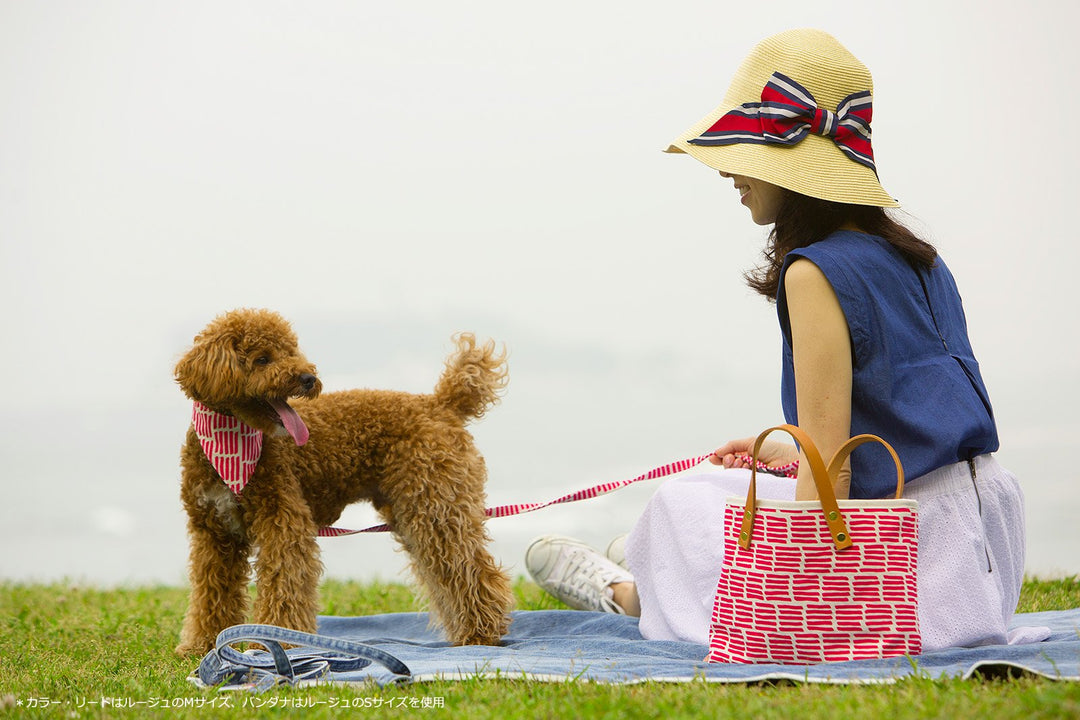 犬のバンダナ 猫のバンダナ 犬バンダナ 猫バンダナ ファミリア