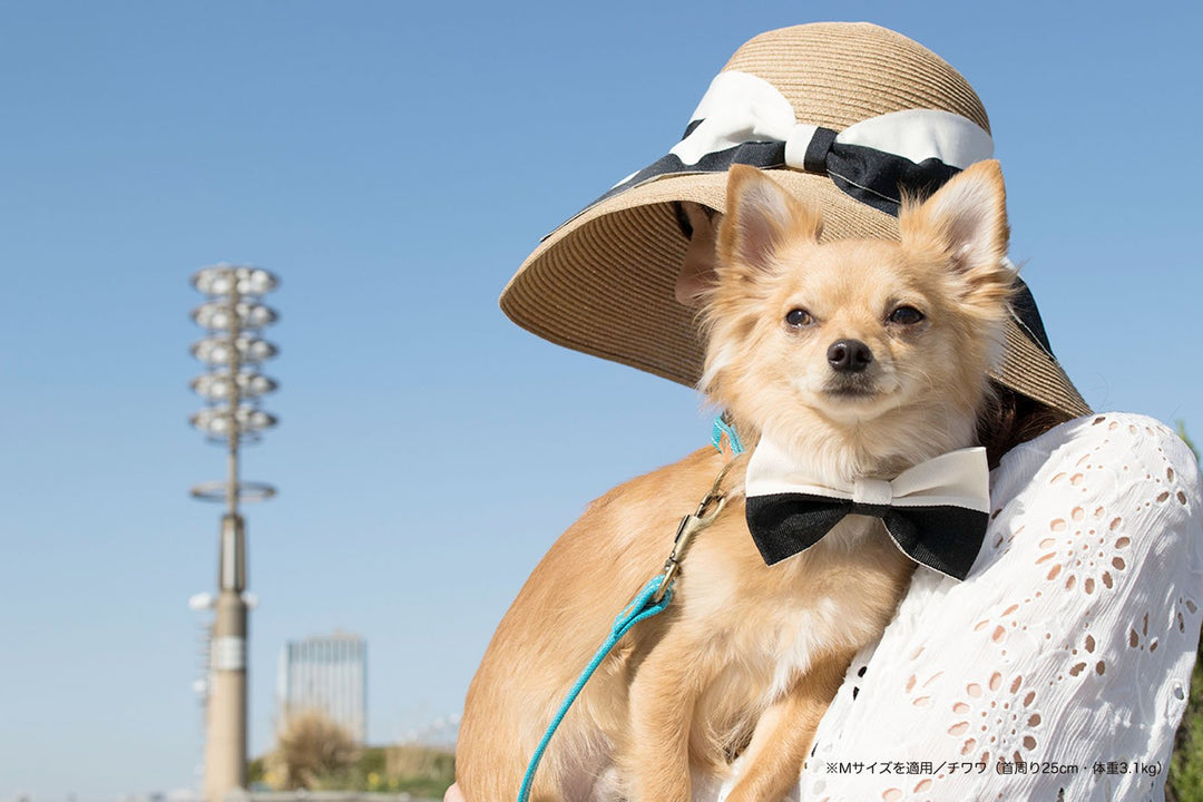 犬 蝶ネクタイ 上質 安い