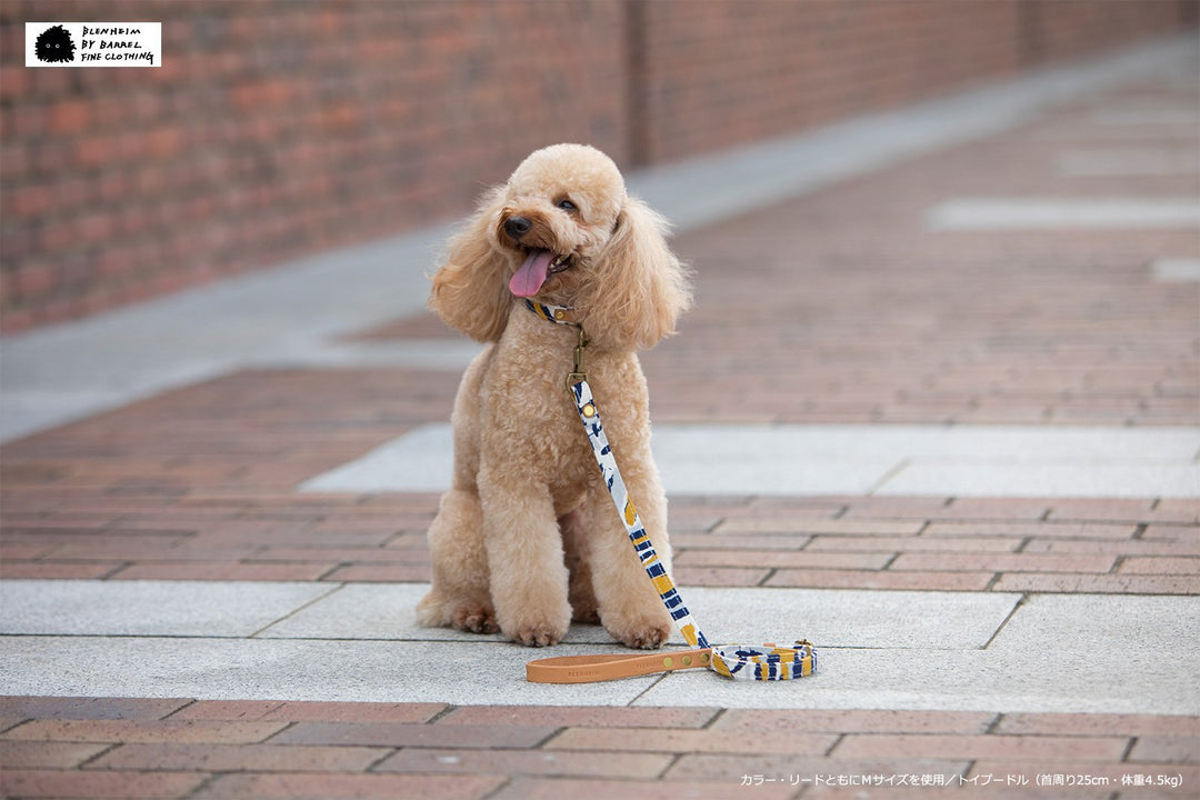 u_02_0f69abdc-27bb-4aed-ae50-